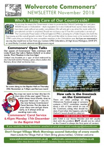 WCC Nov Newsletter